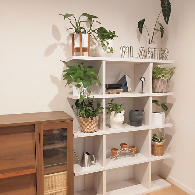 hm_myhomeの-観葉植物 ポトス Ｎ’ＪＯＹ（エンジョイ）（3号）【人気】の家具・インテリア写真