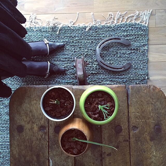 otomatuの-植木鉢 おしゃれ 無垢材のウッドポット YS1373-120 4号(12cm) / 木製 アカシアの家具・インテリア写真