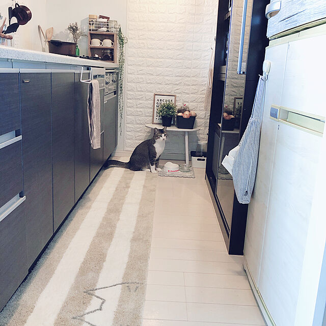 nekomiの-うちねこ キッチンマット 洗えるキッチンマット 約45cm×240cm 全3色の家具・インテリア写真