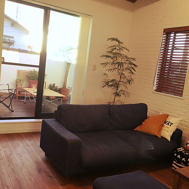 ke22のMAKIMO PLANT-フェニックス・ロベリニー 10号の家具・インテリア写真
