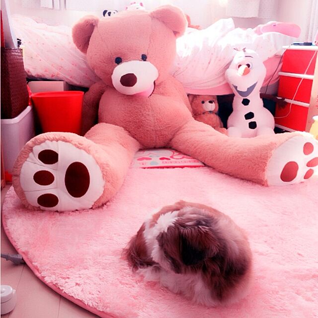 sakipinのlovesound-LOVESOUNDぬいぐるみ 特大 くま/テディベア 可愛い熊 動物 ぬいぐるみ (パープル, 160)の家具・インテリア写真
