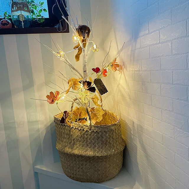 miyuのAD&C TORONIC-ロメッタ インテリア LED 白樺 ブランチ ツリー ライト カラー： シャンパン ゴールド ASH-TRBT90 (90cmサイズ)の家具・インテリア写真