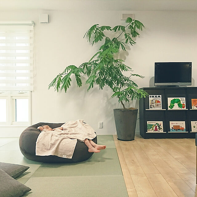 sachiの-ウーヌム コニック45 M （直径45cm×H54cm）（15号）底穴あり 陶器製 店舗装飾 大型 カフェ プロ 重量級 プランターの家具・インテリア写真