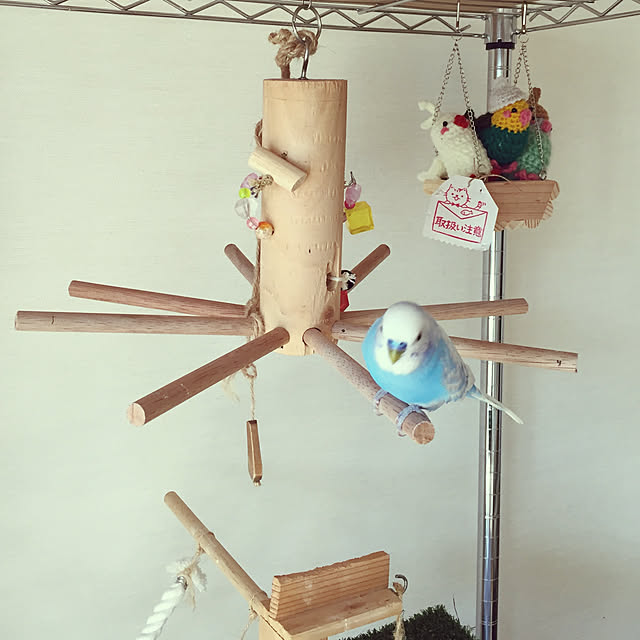 toratanの-ノーブランド品マウス オウム 鳥 おもちゃ 吊りボート ケージ止まり ハウス スイング 木製 ハンギングハウスの家具・インテリア写真