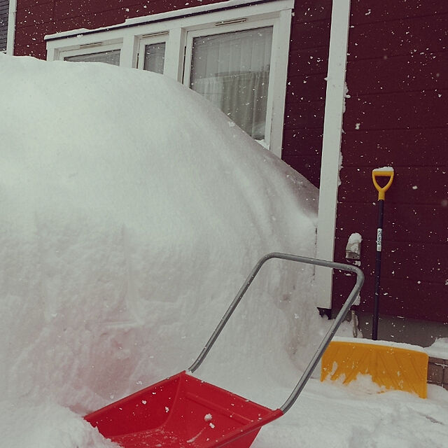 okanのグリーンパル-グリーンパル ママさんダンプ (小) 除雪 雪かき 幅48センチ 全長112cm 楽々雪かきの家具・インテリア写真