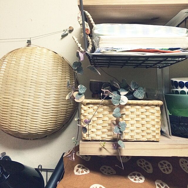 nora_koの-ハートカズラ レディーハート 2.5号鉢の家具・インテリア写真