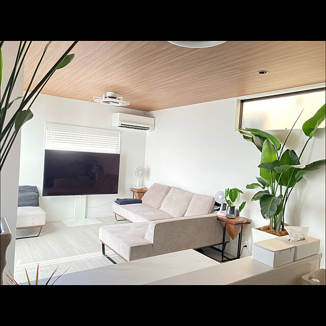 Meluの株式会社ナカムラ-EQUALS イコールズ テレビ台 壁寄せテレビスタンド WALL V3(2020モデル) ロータイプ 32～80V対応 サテンホワイトの家具・インテリア写真