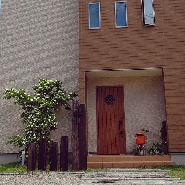hanamaru-kiの-【クール便/送料込】芝生 キリシマターフ 2平米 鹿児島産の家具・インテリア写真