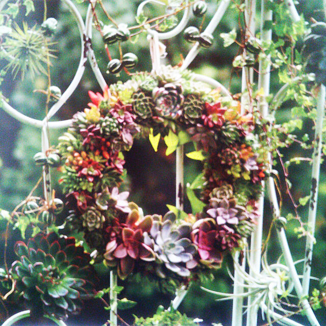 Tomopの花ごころ-花ごころ さぼてん多肉植物の土(2L)の家具・インテリア写真