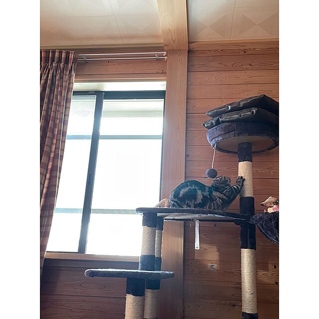 yumiの-Mwpo 富士山ようなハウス キャットタワー 猫タワー 大型猫 麻紐 172cm 巨大サイズ 2つハンモック 匂いなし 多頭飼い 転倒防止 安定性 022Dの家具・インテリア写真