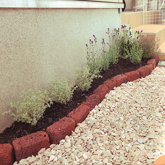 写真付きレビュー 送料無料 ミニ レンガ ミニ ブリック 40個セット ミニレンガ ミニブリック おしゃれ ミニレンガ 花壇用 レンガ セット 置くだけ 簡単 花壇 煉瓦 Mini Brickの通販商品 口コミ情報 Roomclipショッピング