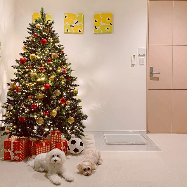 Naoの-【おしゃれ・高級感・大人可愛いツリー】 大型 クリスマスツリー リアル 180cm 単品 おしゃれ 北欧 大きい キングピークツリー もみの木の家具・インテリア写真