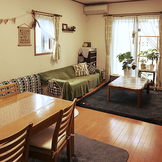 chiekawa63の-（観葉植物）パキラ　4号（1鉢）【HLS_DU】の家具・インテリア写真