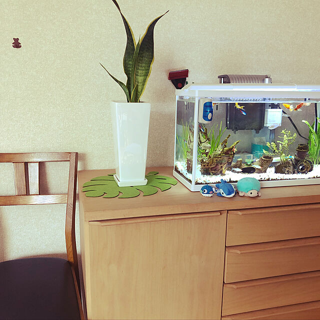 nicoroomのジェックス-ジェックス GEX ガラス サイレントフィット 300 金魚用の家具・インテリア写真