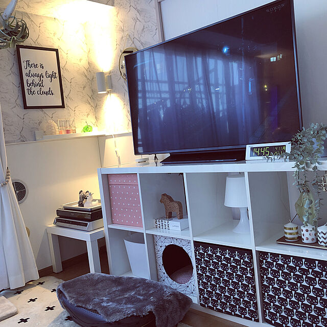 kanaのイケア-LURVIG ルールヴィグ キャットハウス クッション付きの家具・インテリア写真