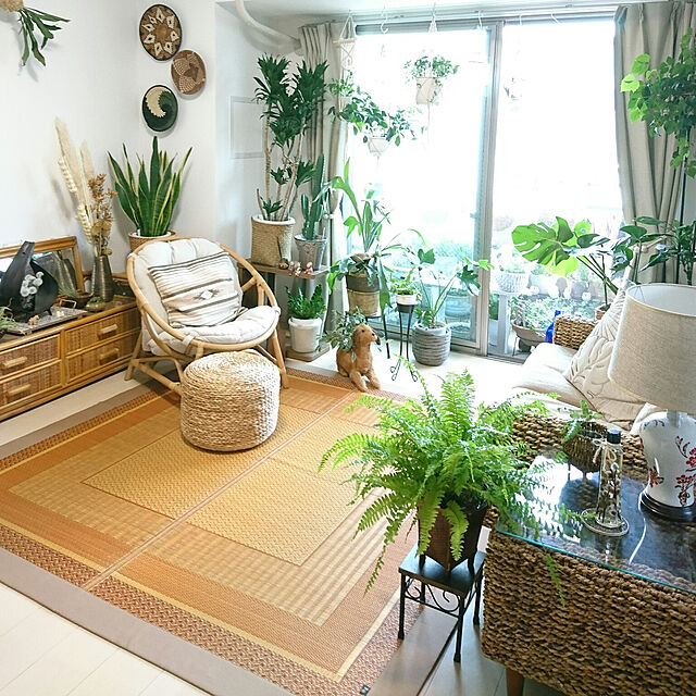 YuriYuriのイケヒコ・コーポレーション-い草ラグ　ＤＸランクス　【イケヒコ】の家具・インテリア写真