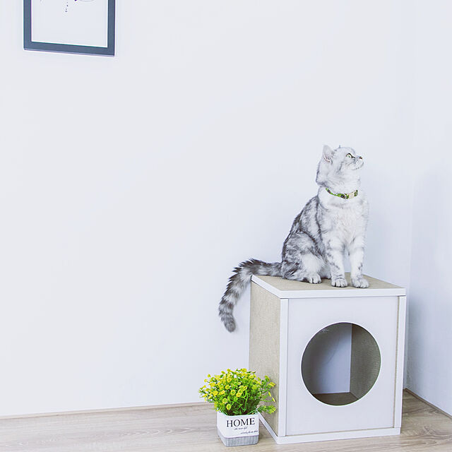 i_wishの-HappyDays キャットハウス トール ホワイト ペット ケージ ダンボール 段ボール 猫 猫用の家具・インテリア写真