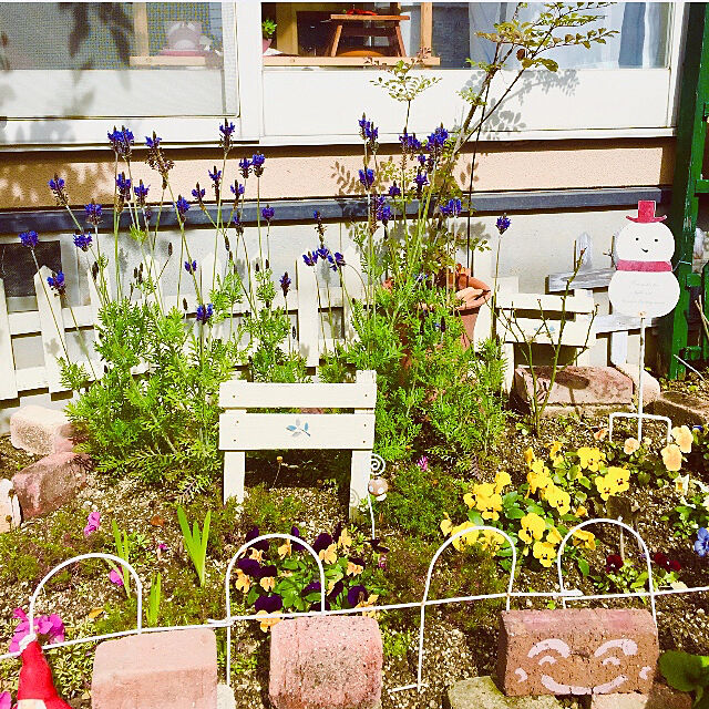 takakoの-草花の苗/オキザリス：ラブハピネス　ローズ3号ポット 2株セットの家具・インテリア写真
