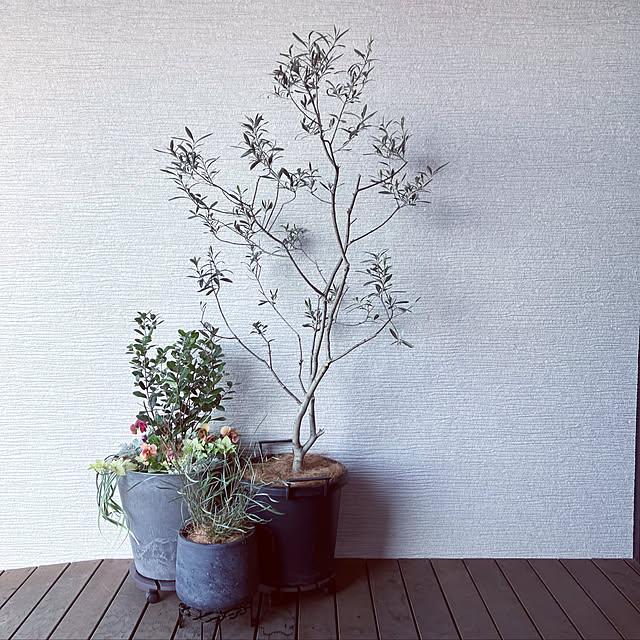 写真付きレビュー Llサイズ Artstone 大型 おしゃれ 植木鉢 12号 鉢カバー プランターカバー おしゃれ かわいい アマブロ アートストーン Amabro 安い プランター インテリアグリーン インテリア 北欧 37cmの通販商品 口コミ情報 Roomclipショッピング