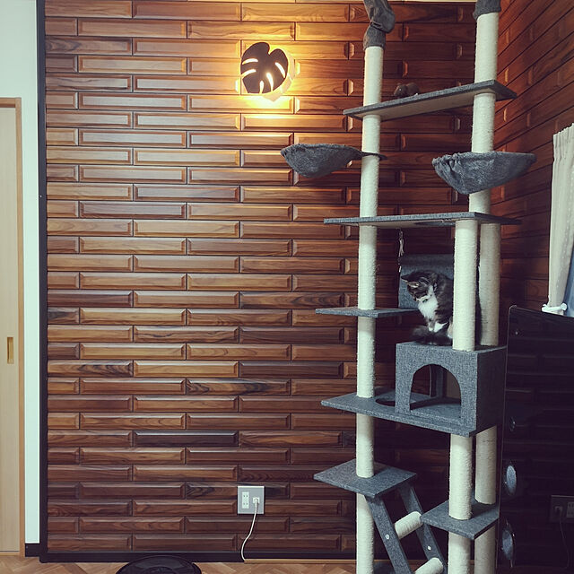 kokkomanの-キャットタワー 突っ張り型キャットタワー 突っ張り おしゃれ 猫タワー 突っ張り 230〜253cm 全面麻紐 キャットタワー 爪とぎの家具・インテリア写真