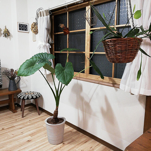 santamamaの大和プラスチック-スリット鉢 植木鉢 大和プラスチック 根はり鉢 8号 ホワイト 白 Φ24cm×高さ22cmの家具・インテリア写真