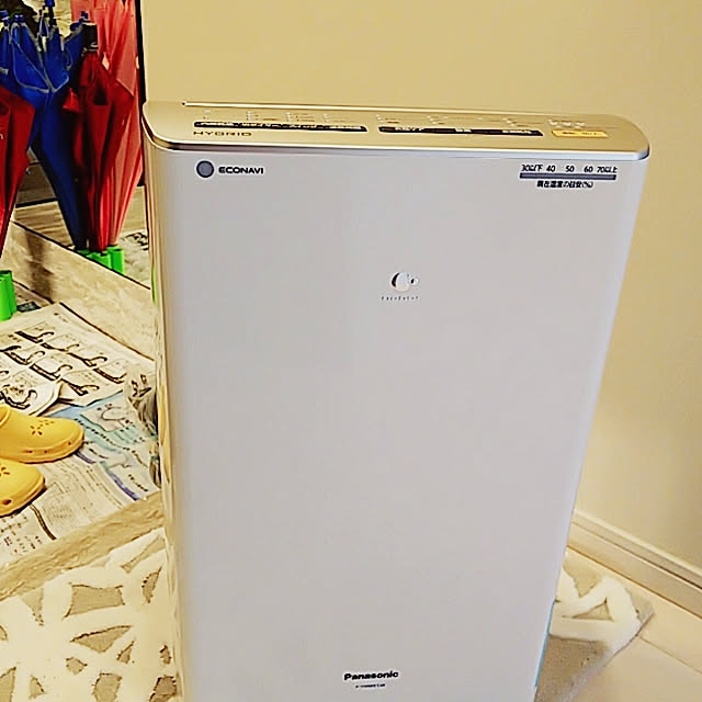Panasonic パナソニック F-YC120HPX 衣類乾燥除湿機