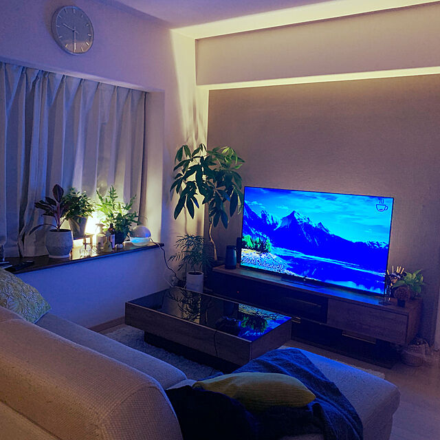 Tenの-観葉植物/ポリポジウム：ブルースター6号鉢入りの家具・インテリア写真