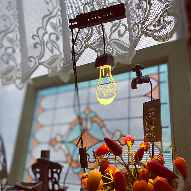 Kuniのはせがわさとう商店-旧商品 めざましテレビ 植物用LEDライト ルーチェ LUCHE Grow Light 照明 育成 栽培 42019の家具・インテリア写真