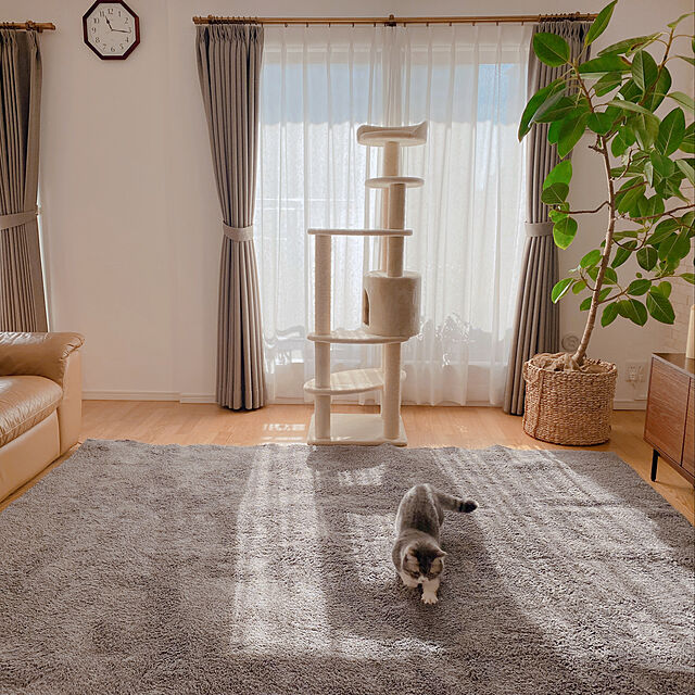 ayaのイケヒコ・コーポレーション-ラグ　プリーム　【イケヒコ】の家具・インテリア写真