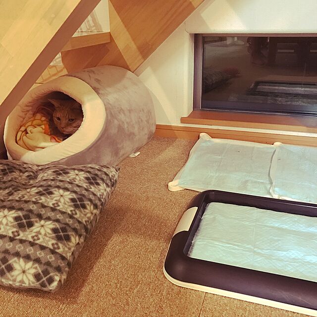 megu_mamaの-ペットプロ　マイクロファイバーロングドーム　グレー　犬　猫　ベッド　関東当日便の家具・インテリア写真