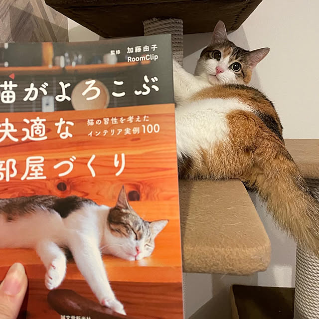 puniyumiの-猫がよろこぶ快適な部屋づくり 猫の習性を考えたインテリア実例100 [ 加藤 由子 ]の家具・インテリア写真
