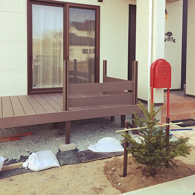 Yukiの-もみの木 ウラジロモミ 樹高1.0m前後(根鉢含まず) 単品の家具・インテリア写真