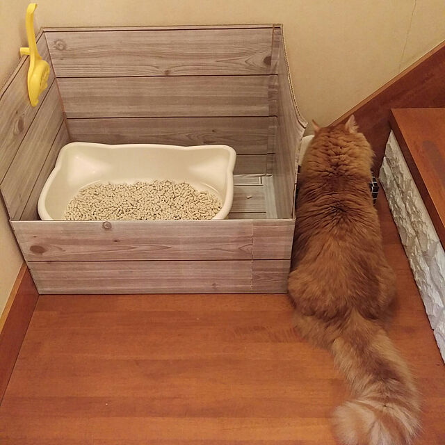lukeの-ユニチャーム　1週間消臭・抗菌デオトイレ 子猫から体重5kgの成猫用の家具・インテリア写真
