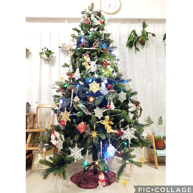 hiromimiの-シュヴァルツヴァルトツリー195cm　クリスマスツリー　ヌードツリー　RS GLOBAL TRADE社（Tanne Schwarzwald）アトリエニキティキの家具・インテリア写真