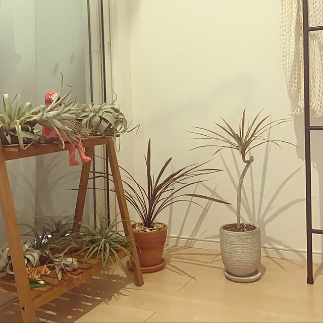 sato.kの-インテリア レディース ウッドアニマルトイの家具・インテリア写真