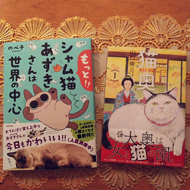 futukoの-もっと!!シャム猫あずきさんは世界の中心/のべ子の家具・インテリア写真