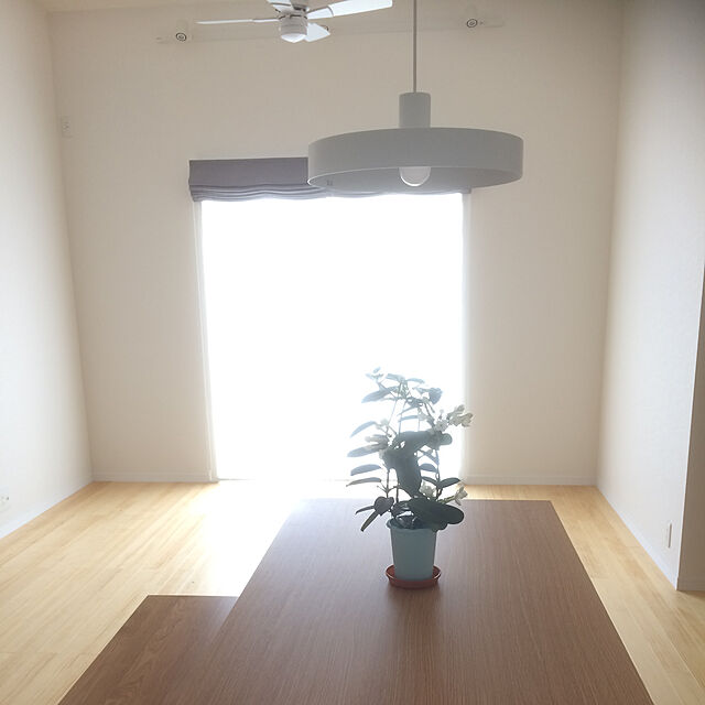 namakemonoの無印良品-オーク材エクステンションテーブル１の家具・インテリア写真