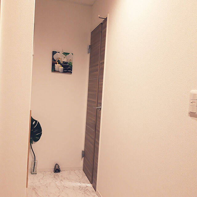 nobiのイケア-[IKEA/イケア/通販]SMYCKA スミッカ フェイクリーフ, モンステラ/グリーン[D](b)(80335706)の家具・インテリア写真