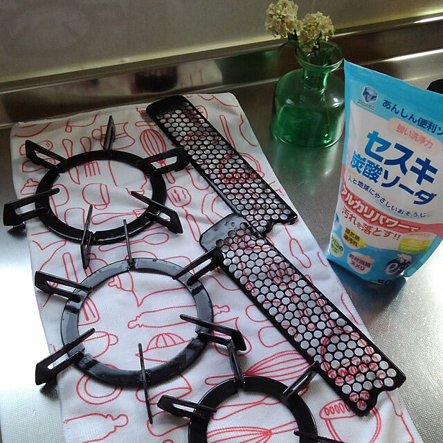 Renの第一石鹸-キッチンクラブ セスキ炭酸ソーダ 500gの家具・インテリア写真