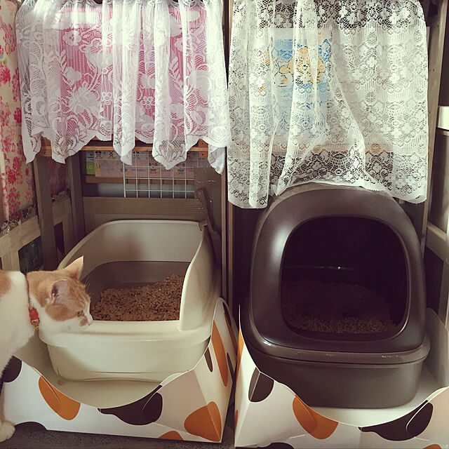 naworinの花王-花王 ニャンとも清潔トイレ 脱臭・抗菌マット 6枚入り [猫用トイレ]の家具・インテリア写真