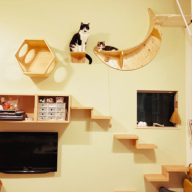 MYZOO 宇宙船 猫ハウス ペット用ベッド ドーム状 壁付け対応 床置き