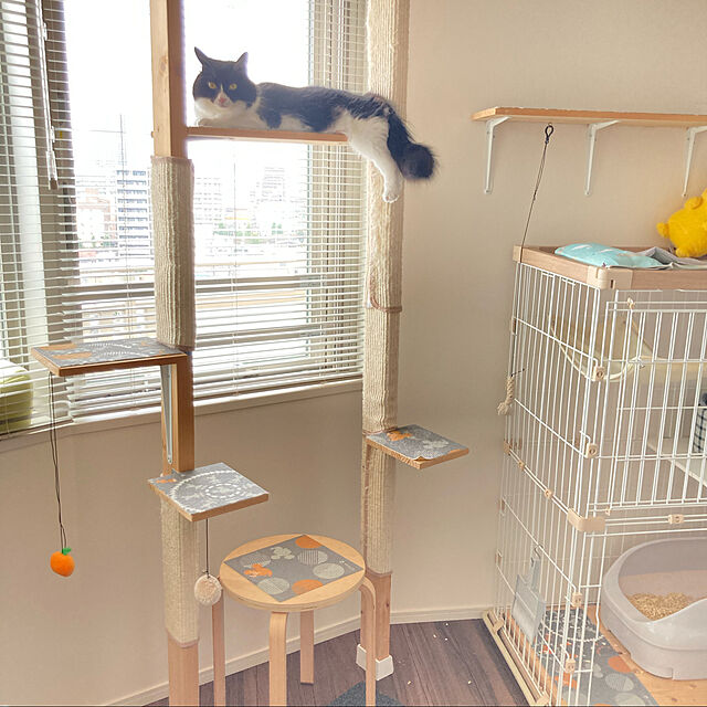 yonejiのアイリスオーヤマ(IRIS OHYAMA)-アイリスオーヤマ ウッディキャットケージ 2段 ハンモック付 ナチュラル 猫用 高さ120×幅90×奥行60cmの家具・インテリア写真