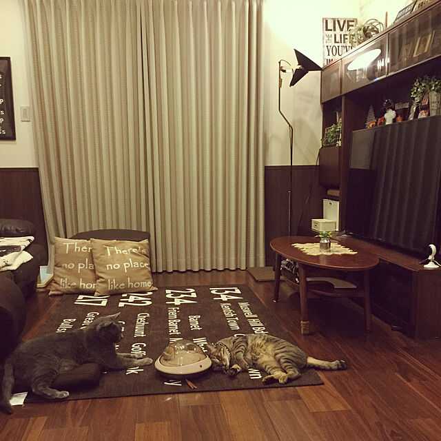 chikaの-ペティオ necoco ダブルスピントイ ヤマヒサペットケア事業部【S1】の家具・インテリア写真