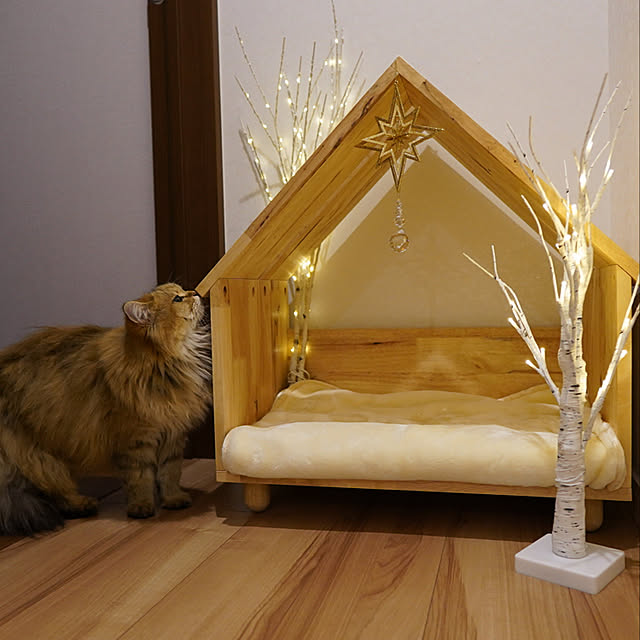 furitamaの-ペットハウス ペット用品 室内 犬 猫 小屋 犬小屋 小型犬 ベッド クッション付 かわいい おしゃれ ナチュラル ペット用 送料無料 RABSIA PET HOUSE + CUSHION RABSIA ラブシア 259-00001の家具・インテリア写真