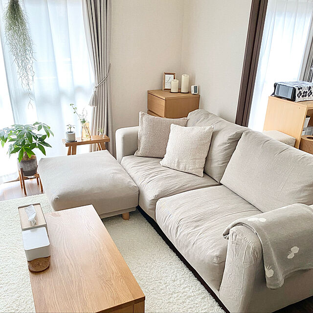 mi_h02のプレーベル-ラグ マット ウィルス分解 シャギーラグ 日本製 ジャスパーPLUSの家具・インテリア写真