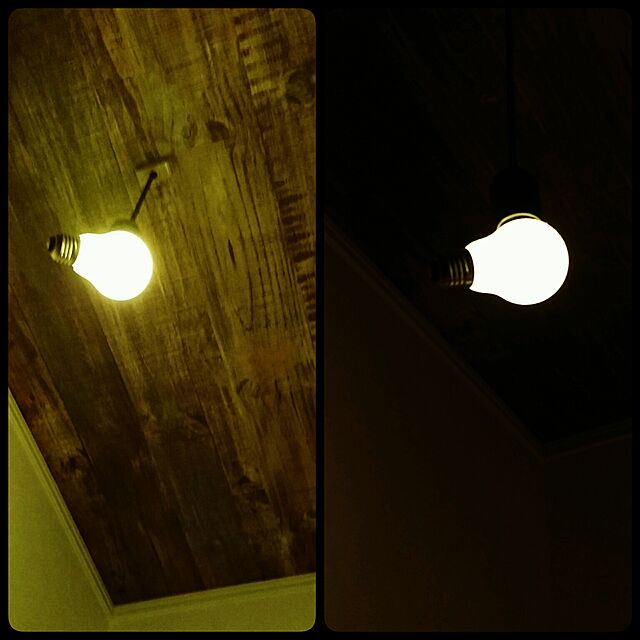 bluebirdの-Lamp/Lamp LED / ランプランプ LED100% 電球 照明 LAMP ランプ ライト 電気 インテリア ライト デザイナーズ照明 LED電球 E26 1.8W【あす楽対応_東海】の家具・インテリア写真