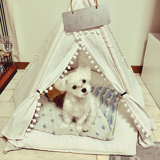 royの-犬 ハウス おしゃれ 室内 通販 ペット用 ティピーテント ペットハウス オシャレ 犬ベッド 猫ベッド テント ペットベッド 可愛い 小型犬 中型犬 寝具の家具・インテリア写真