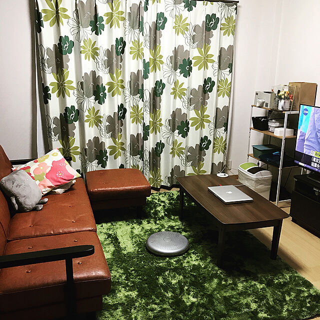hikari.incのニトリ-リラックス バランスクッション(GM-17A) の家具・インテリア写真