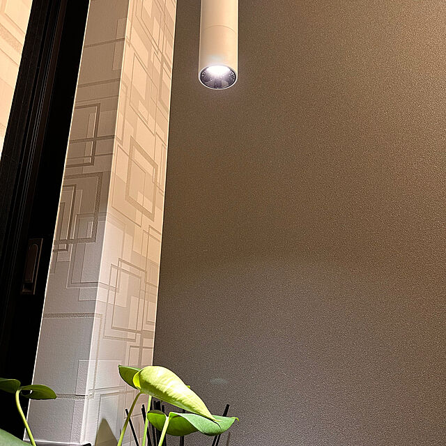 aitomamaのEdison Smart-エジソンスマート ペンダントライト 引掛けシーリング用の家具・インテリア写真