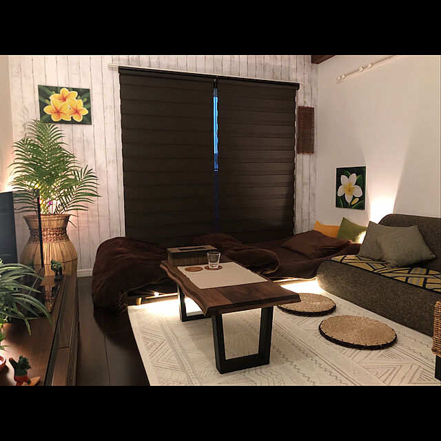 Kodaiのニトリ-調光ロールスクリーン (コンビ3DBR60x180)  【玄関先迄納品】の家具・インテリア写真